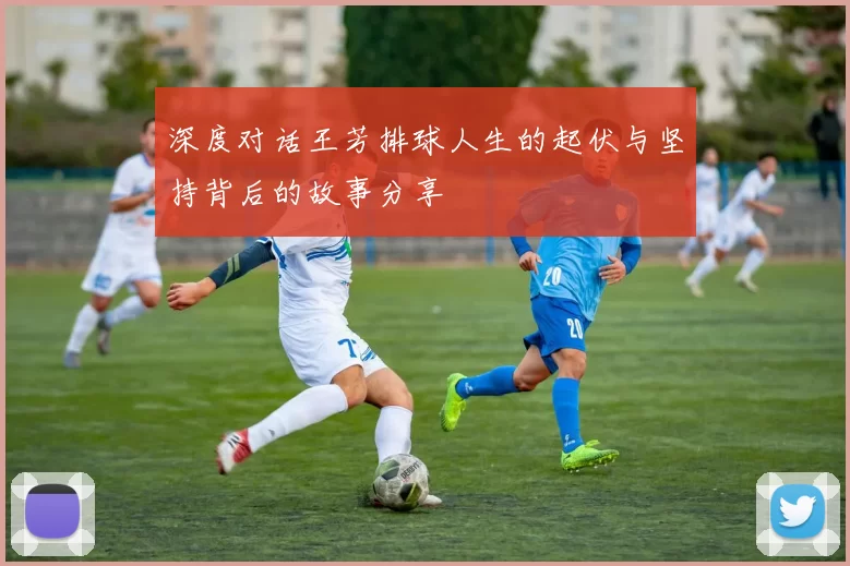 深度对话王芳排球人生的起伏与坚持背后的故事分享