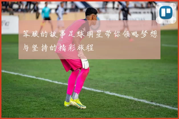 笨狼的故事足球明星带你领略梦想与坚持的精彩旅程