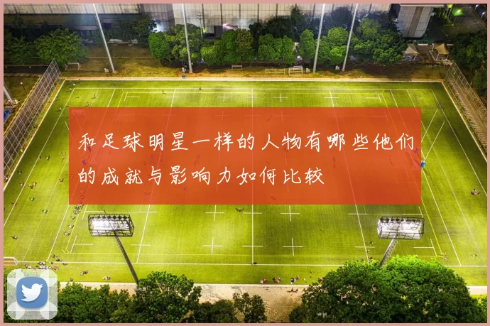 和足球明星一样的人物有哪些他们的成就与影响力如何比较
