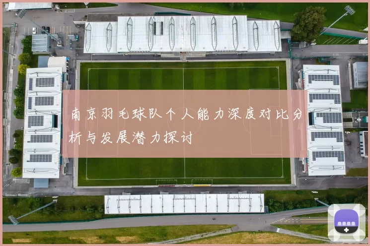 南京羽毛球队个人能力深度对比分析与发展潜力探讨