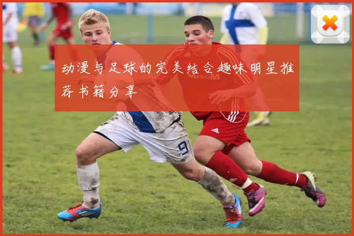 动漫与足球的完美结合趣味明星推荐书籍分享