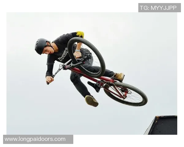 成都极限运动队状态分析与表现评估的全面研究与探讨