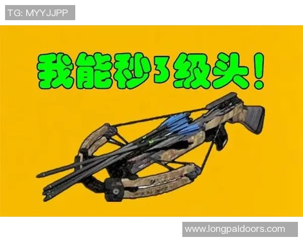 和平精英巨献：深入了解LNG技术背后的秘密与应用探索